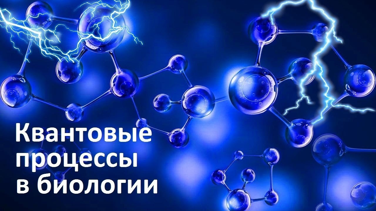 Изображение статьи 3